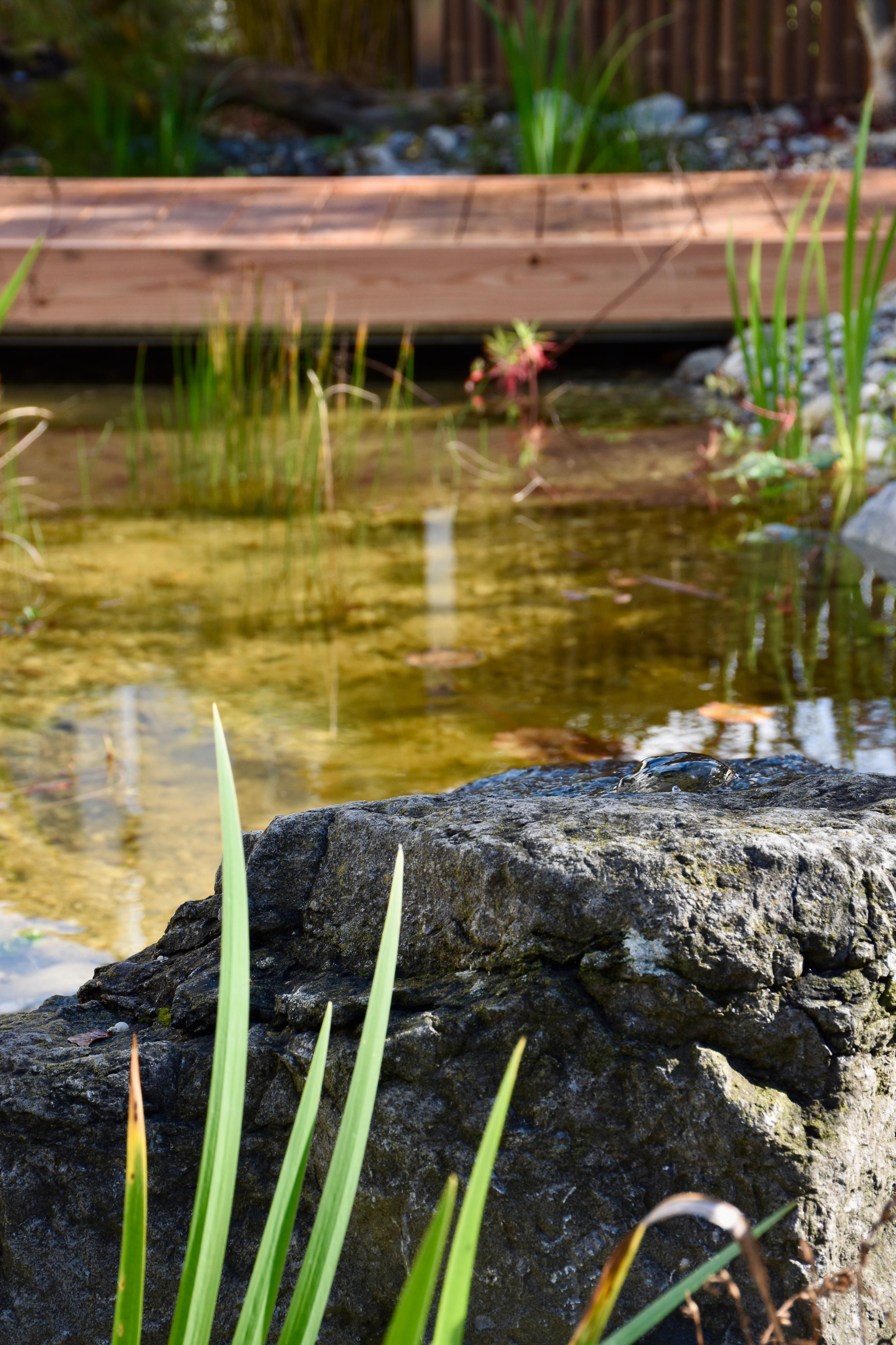 Wasser im Garten