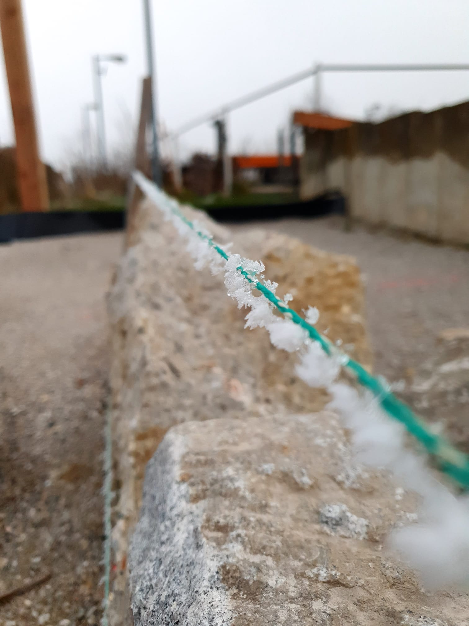 Gartenträume wahr werden lassen