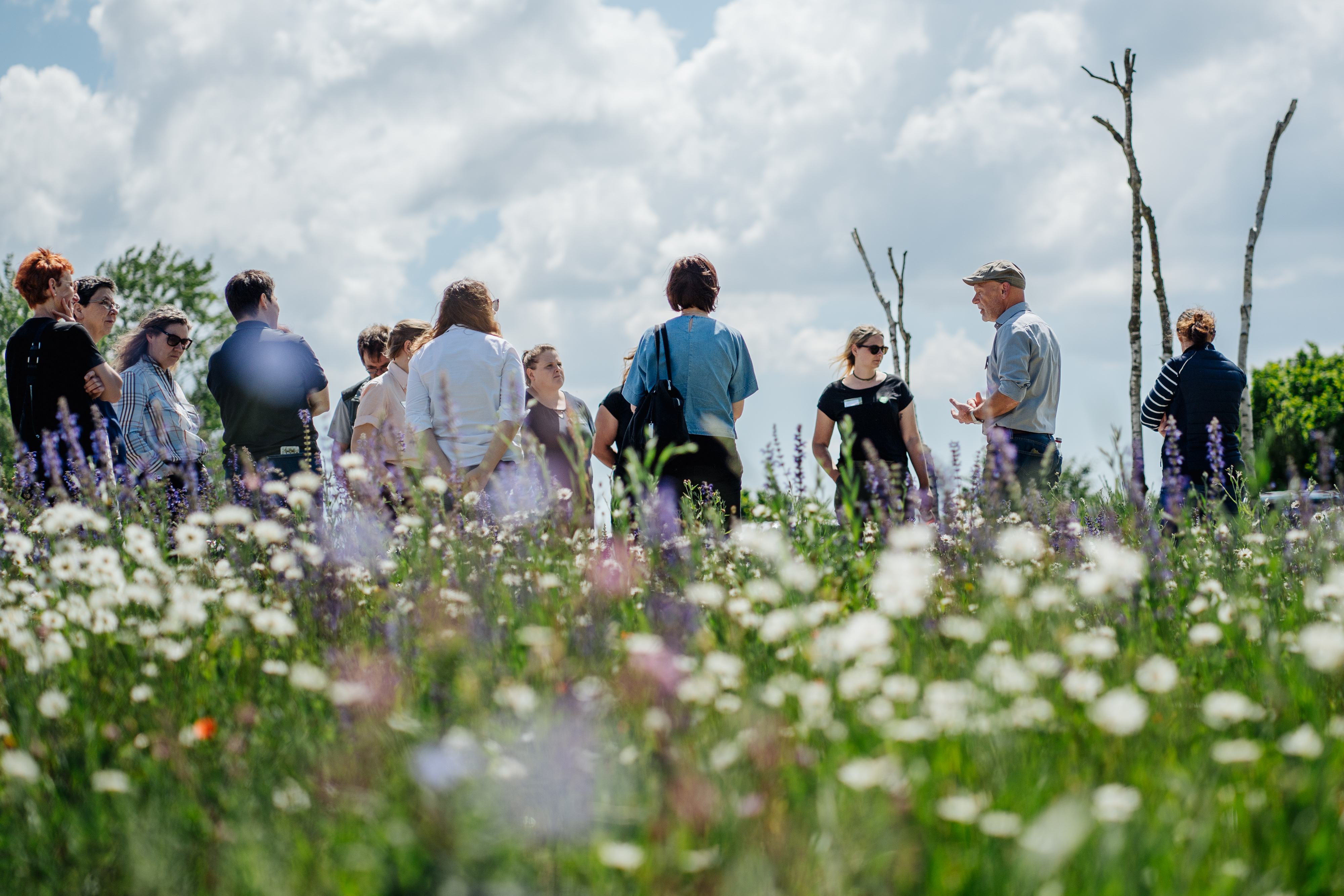 Biodiversitätsfördernde Grünanlagen