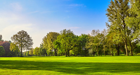 Landschaft und Gruenanlagen