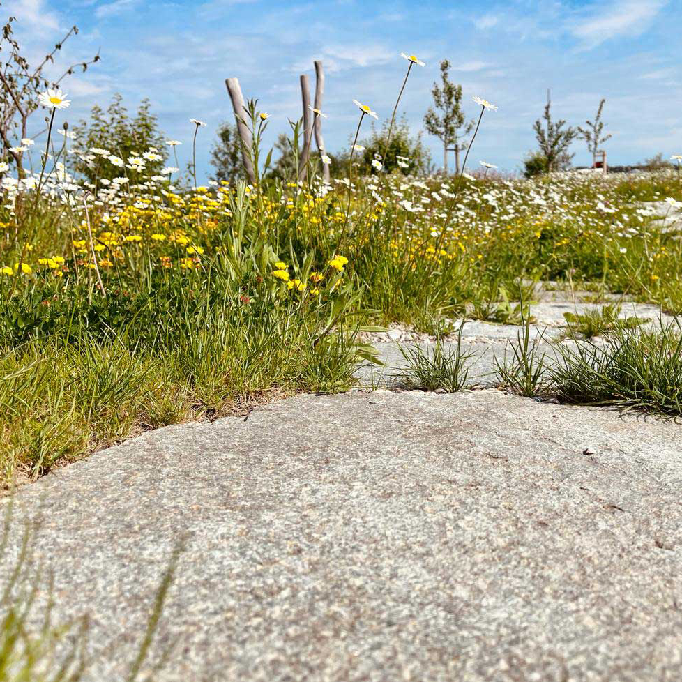 Naturnahe Gärten